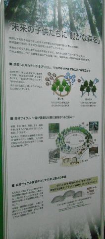 m-image65.jpg
