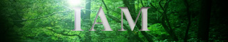 iam-forest320.jpg