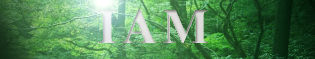 IAM-forest01.jpeg"